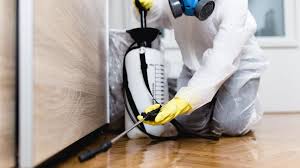 Best Termite Inspection and Treatment  in Quitman, TX